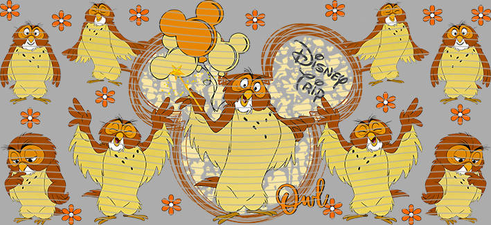 16oz Disney style-D-1246